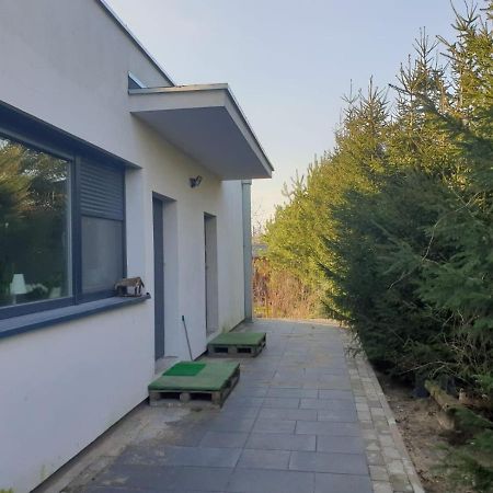 Maly Apartament W Zieleni Blisko Jeziora Сьрода-Велькопольска Экстерьер фото