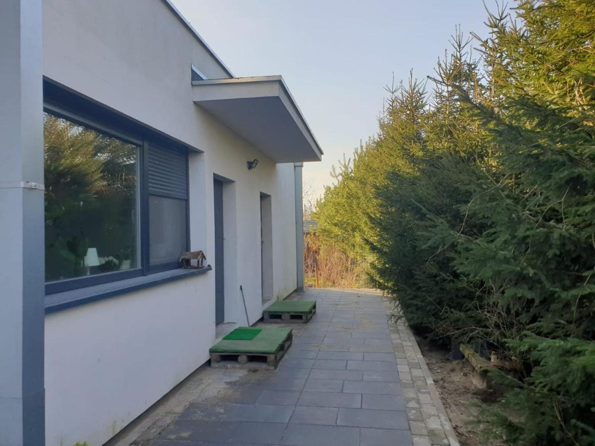 Maly Apartament W Zieleni Blisko Jeziora Сьрода-Велькопольска Экстерьер фото